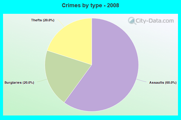 Crimes by type - 2008