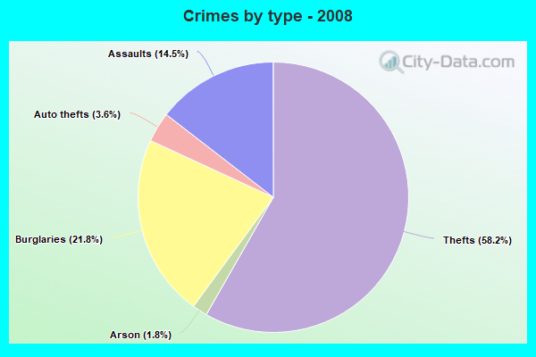 Crimes by type - 2008