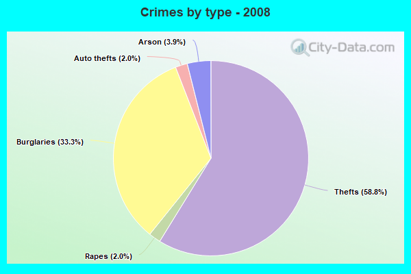 Crimes by type - 2008