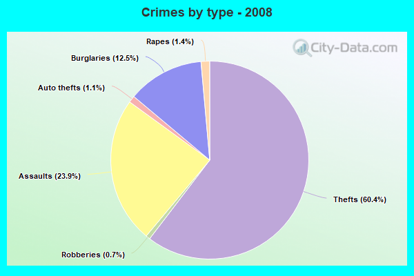 Crimes by type - 2008