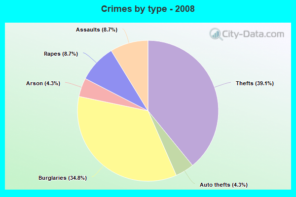 Crimes by type - 2008