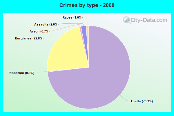 Crimes by type - 2008