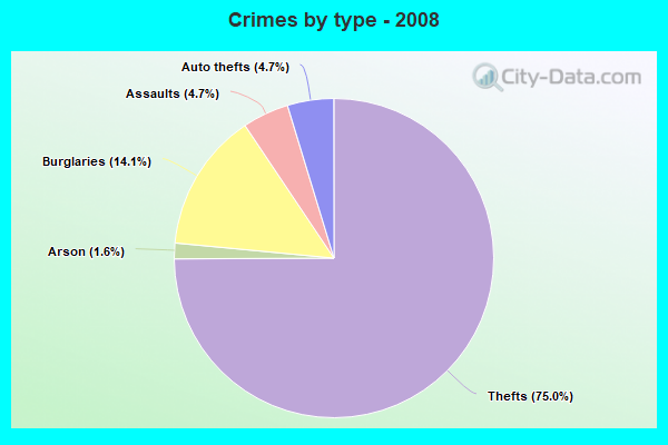 Crimes by type - 2008