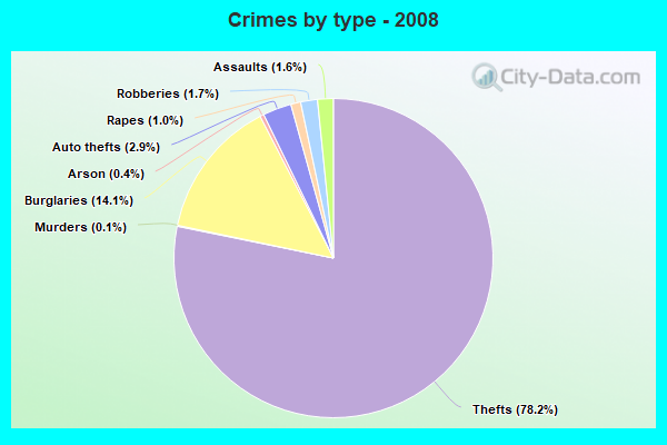 Crimes by type - 2008