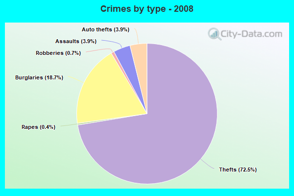 Crimes by type - 2008