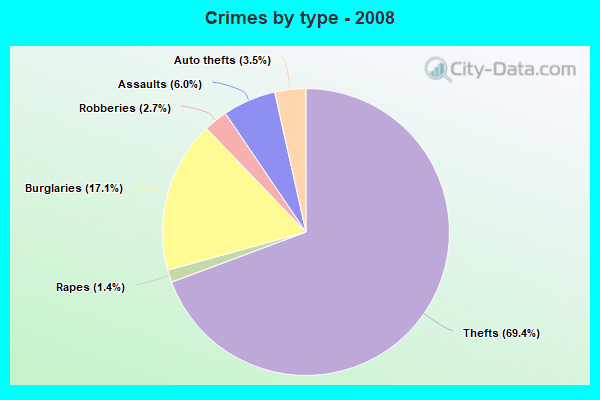 Crimes by type - 2008