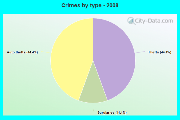 Crimes by type - 2008