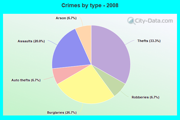 Crimes by type - 2008