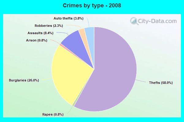 Crimes by type - 2008