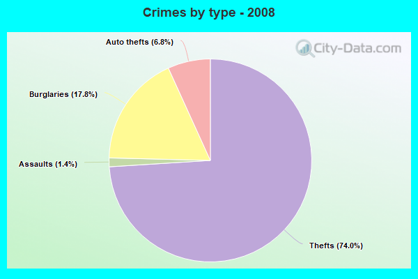 Crimes by type - 2008