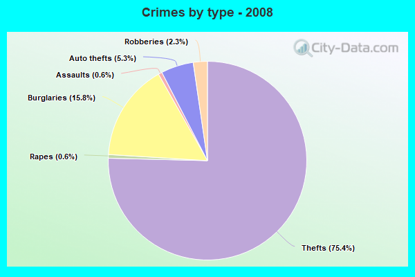 Crimes by type - 2008