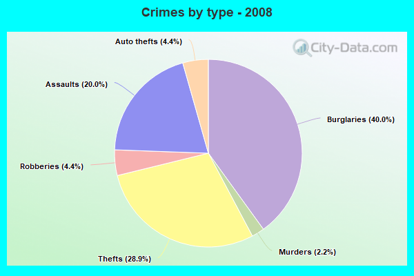 Crimes by type - 2008