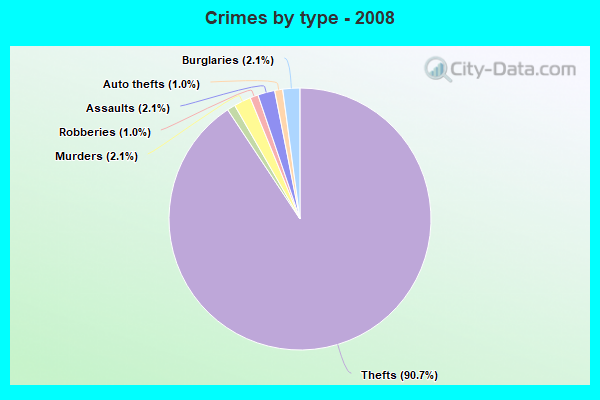 Crimes by type - 2008