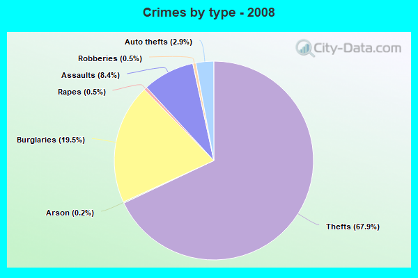 Crimes by type - 2008