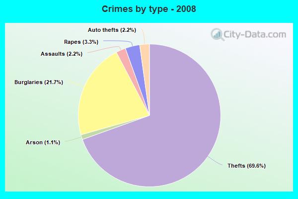 Crimes by type - 2008