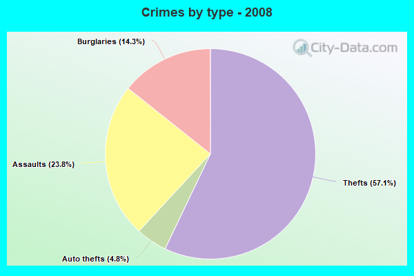 Crimes by type - 2008