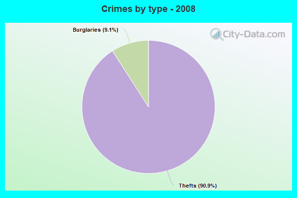 Crimes by type - 2008