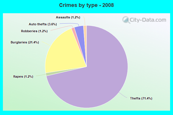 Crimes by type - 2008