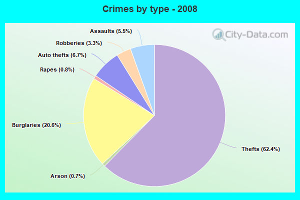 Crimes by type - 2008