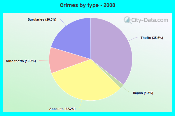 Crimes by type - 2008