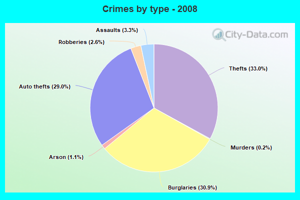 Crimes by type - 2008