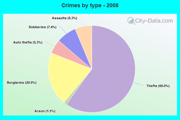 Crimes by type - 2008