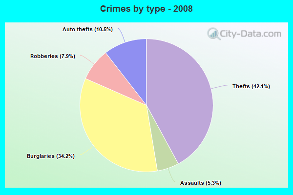 Crimes by type - 2008