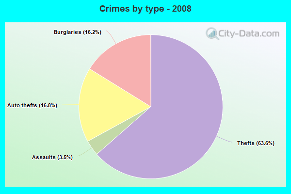 Crimes by type - 2008