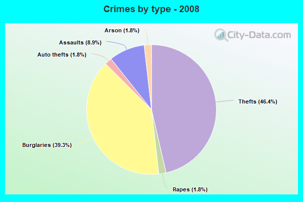 Crimes by type - 2008