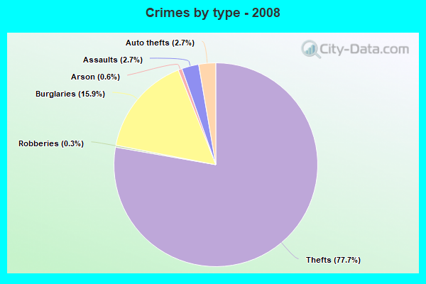 Crimes by type - 2008