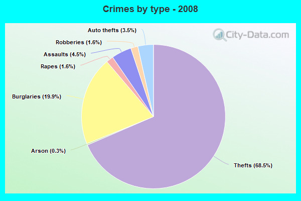 Crimes by type - 2008