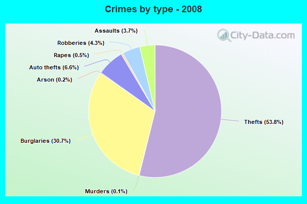 Crimes by type - 2008