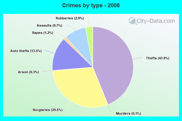 Crimes by type - 2008