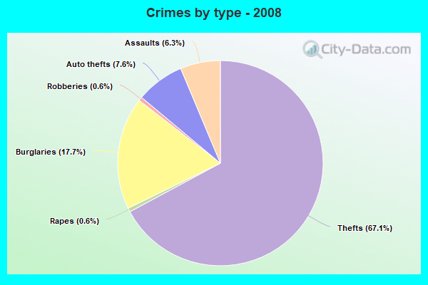 Crimes by type - 2008