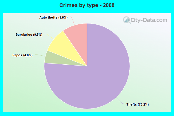 Crimes by type - 2008