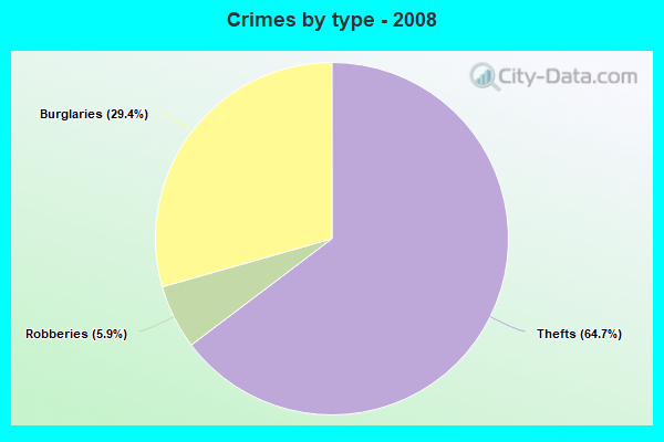 Crimes by type - 2008