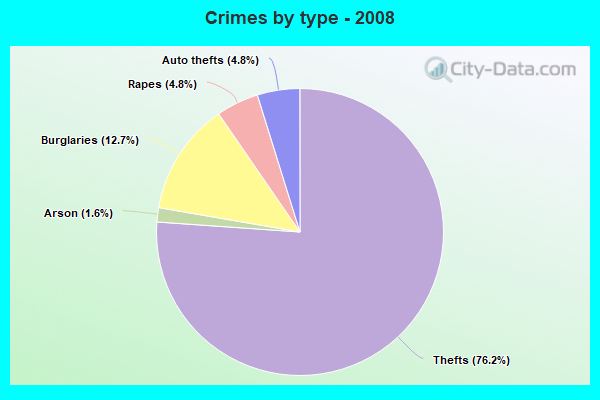 Crimes by type - 2008