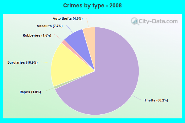 Crimes by type - 2008