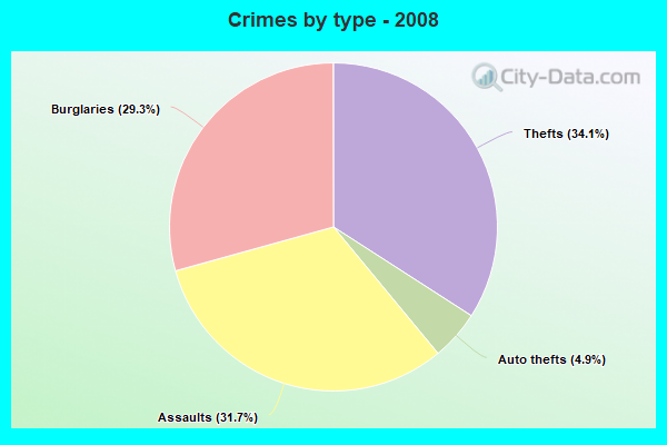 Crimes by type - 2008