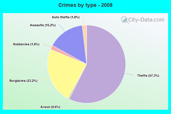 Crimes by type - 2008