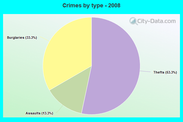 Crimes by type - 2008