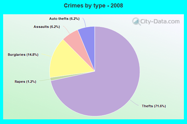 Crimes by type - 2008