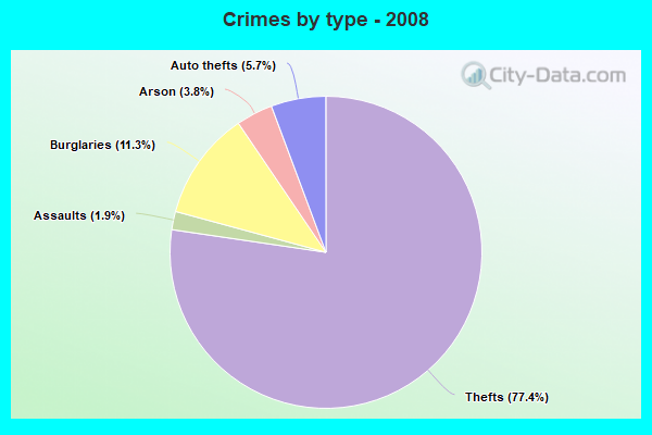 Crimes by type - 2008