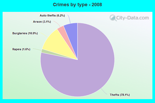 Crimes by type - 2008