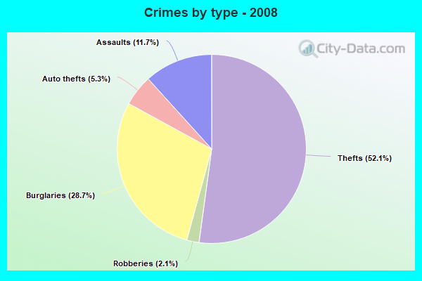 Crimes by type - 2008