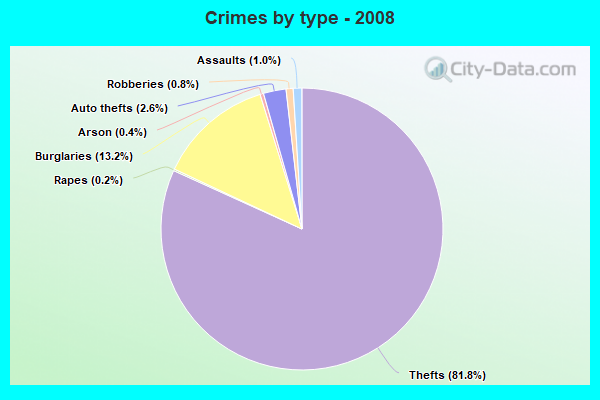 Crimes by type - 2008