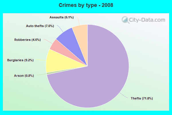 Crimes by type - 2008