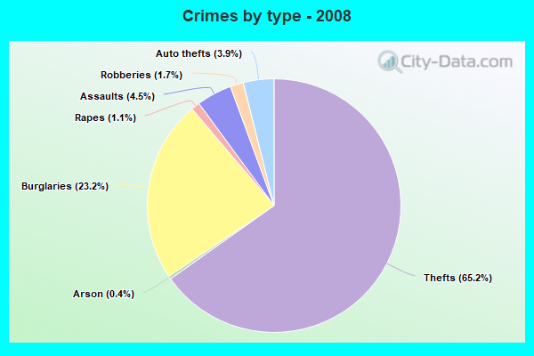 Crimes by type - 2008