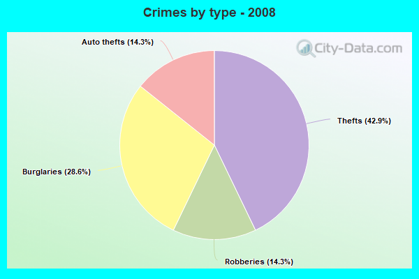 Crimes by type - 2008