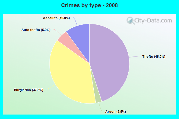 Crimes by type - 2008